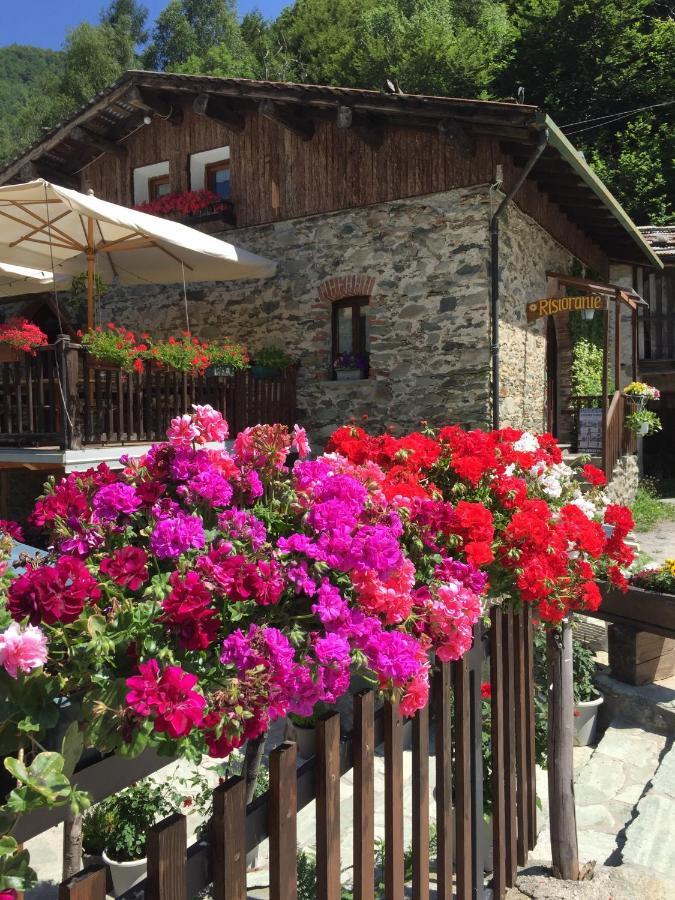 B&B Vinicola23 Лимоне-Пьемонте Номер фото